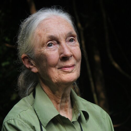 Advocates for Global Green